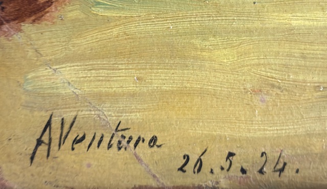 A VenturaParticolare 1