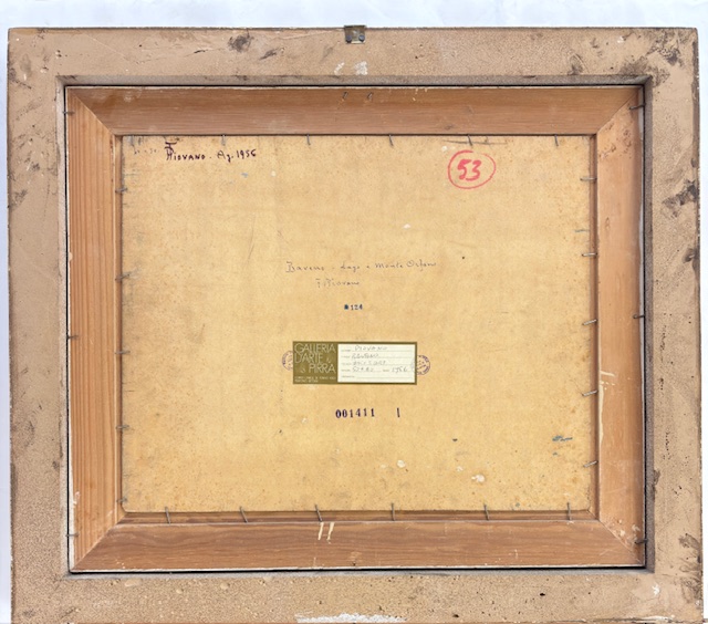 Ferruccio PiovanoParticolare 2